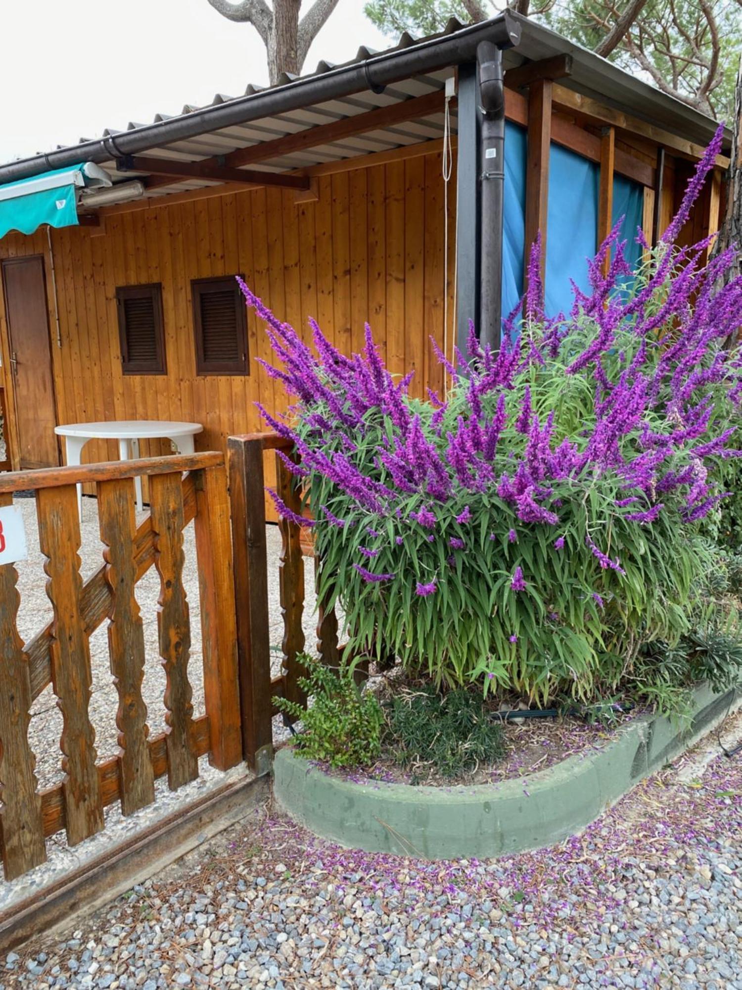 Camping Roma Ventimiglia Esterno foto