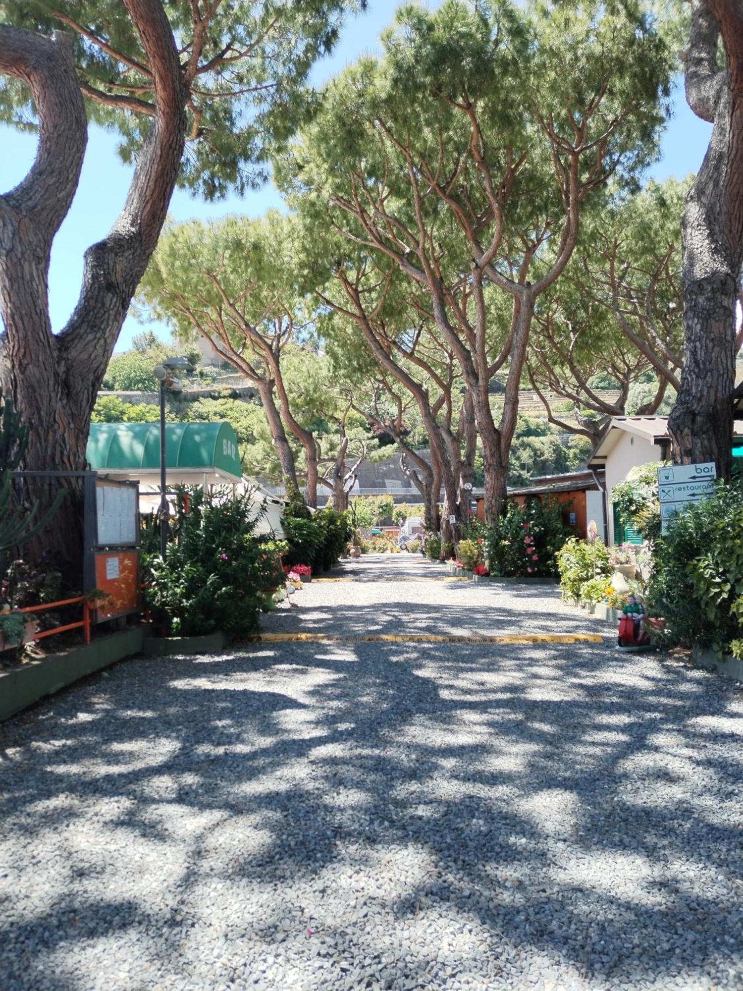 Camping Roma Ventimiglia Esterno foto