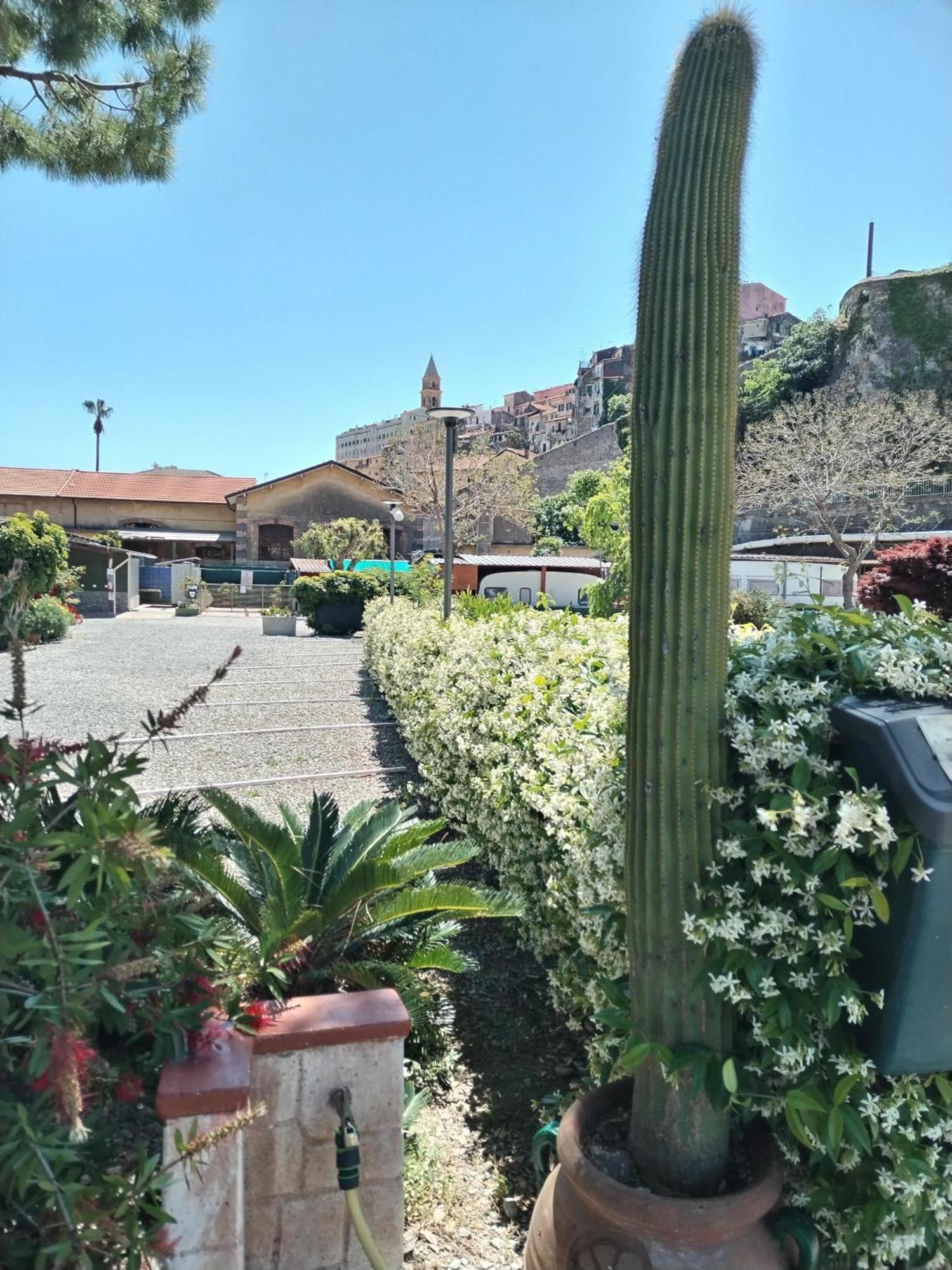 Camping Roma Ventimiglia Esterno foto