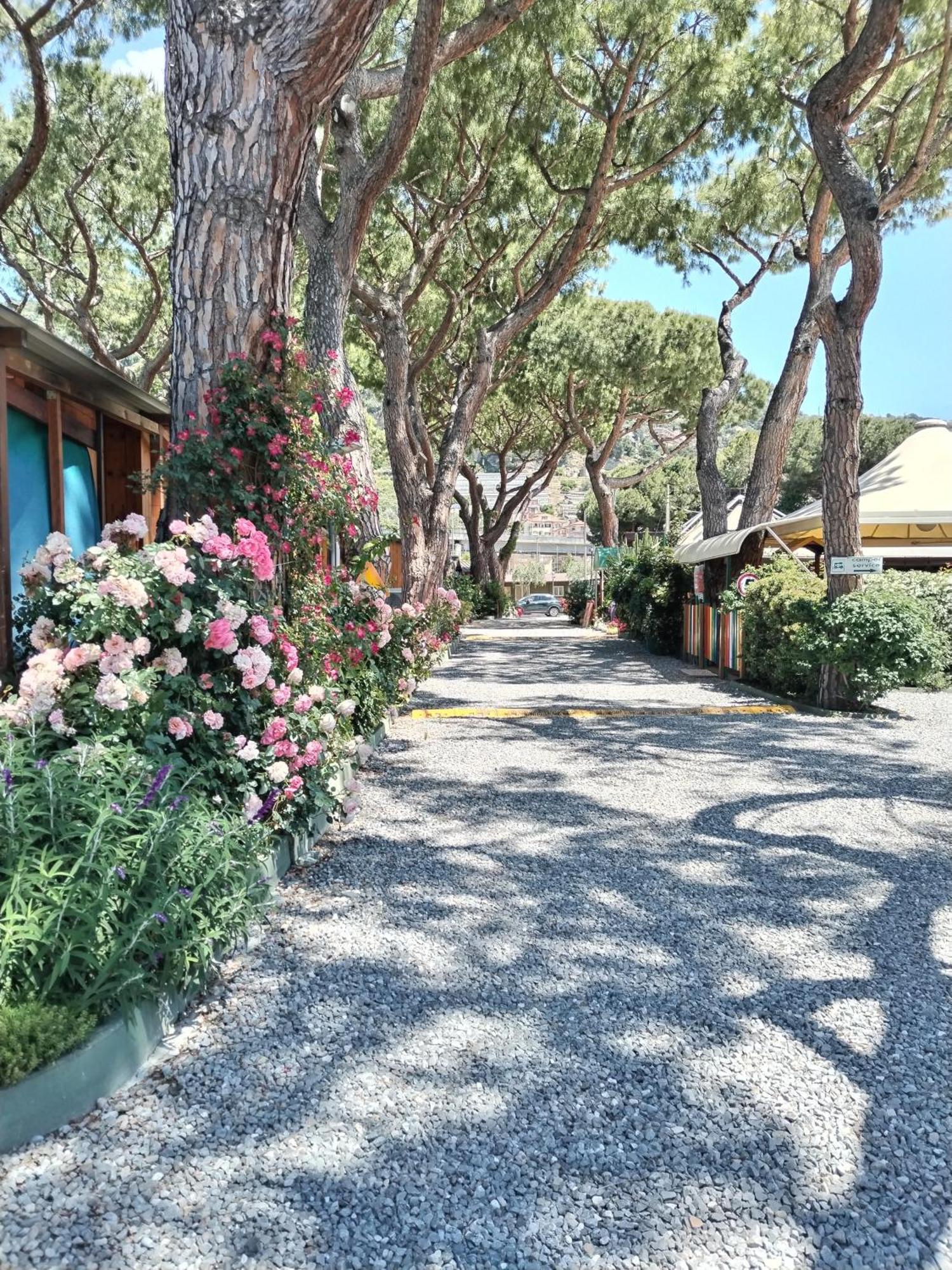 Camping Roma Ventimiglia Esterno foto