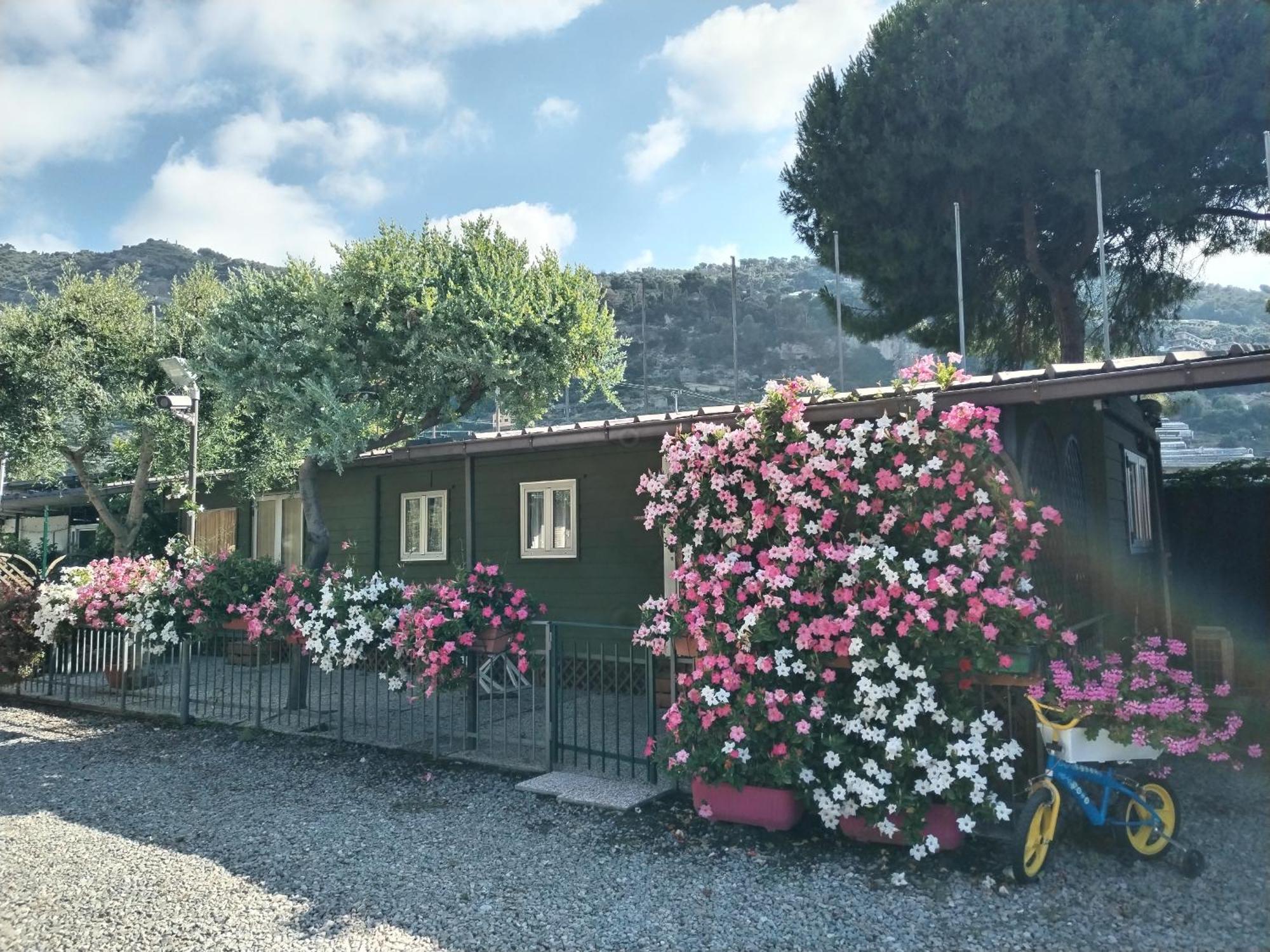 Camping Roma Ventimiglia Esterno foto