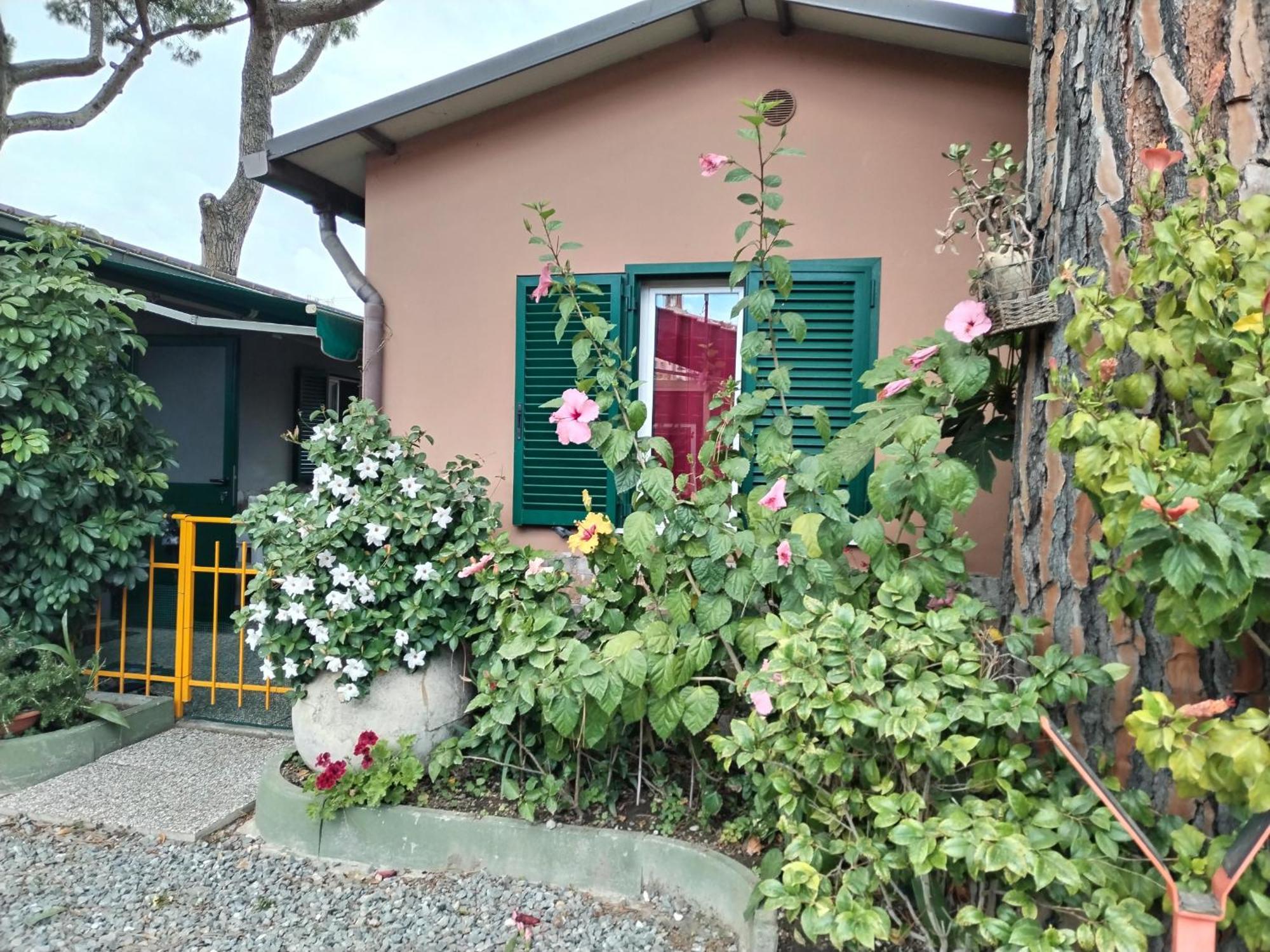Camping Roma Ventimiglia Esterno foto