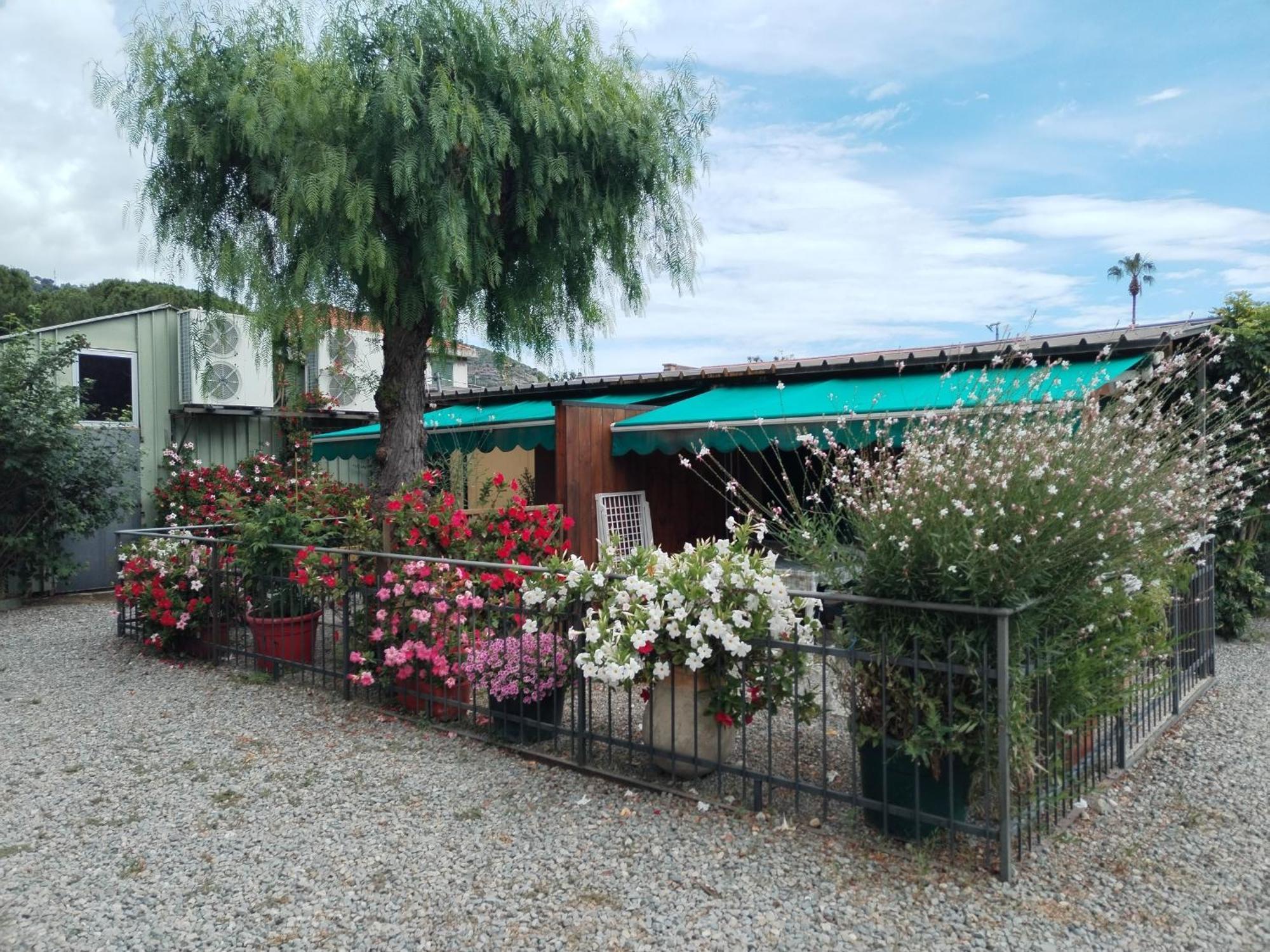 Camping Roma Ventimiglia Esterno foto
