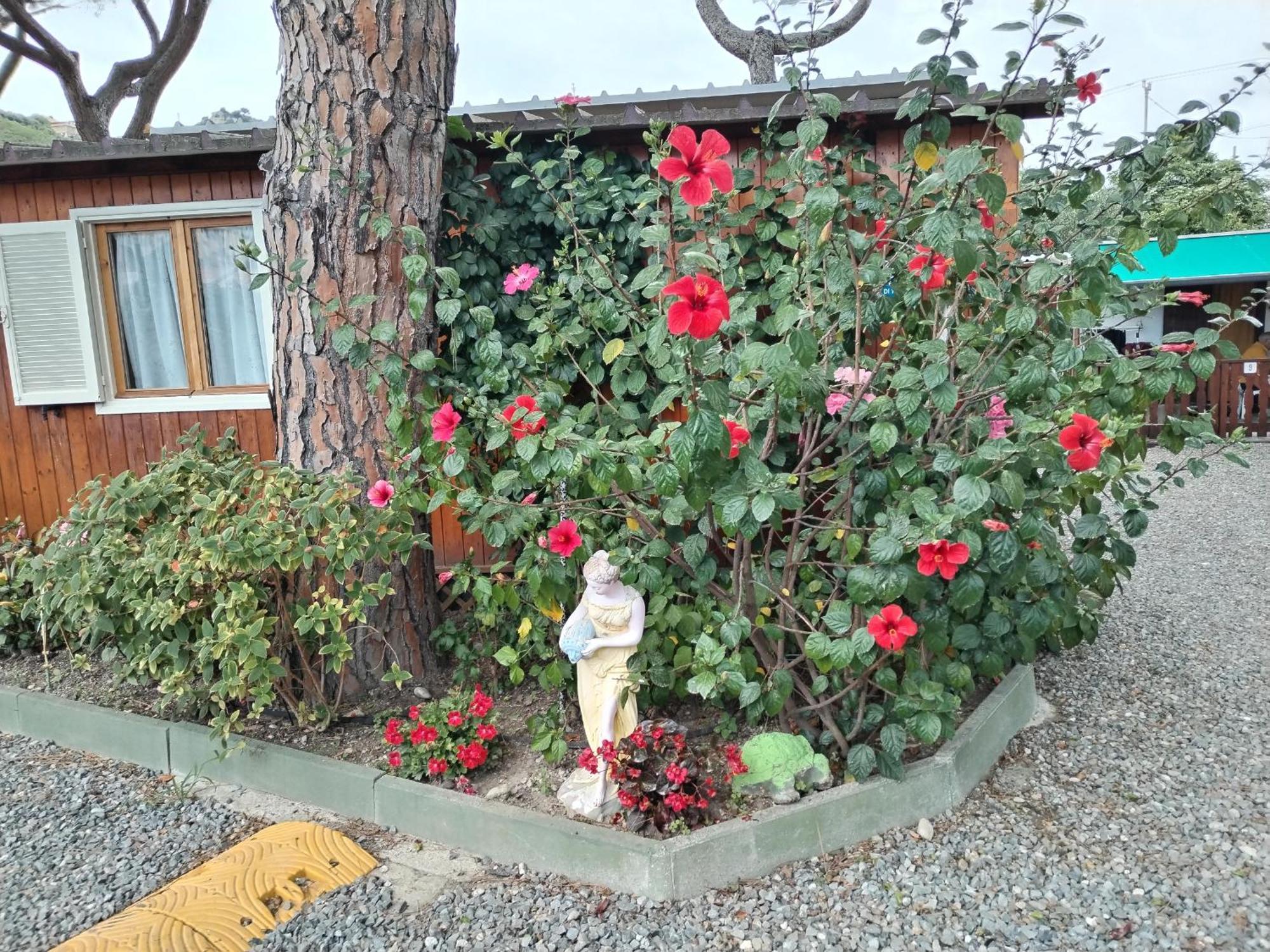 Camping Roma Ventimiglia Esterno foto