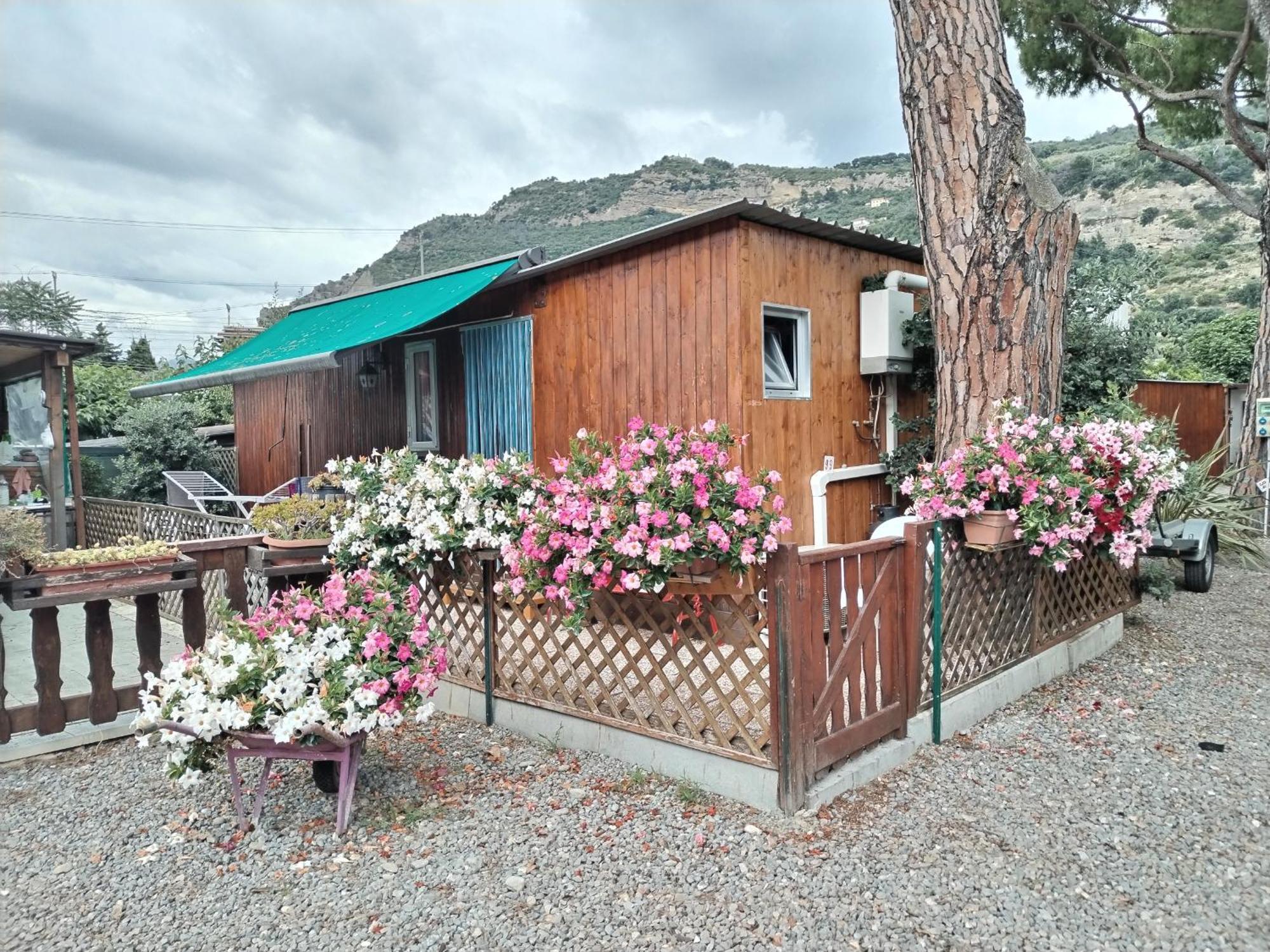 Camping Roma Ventimiglia Esterno foto