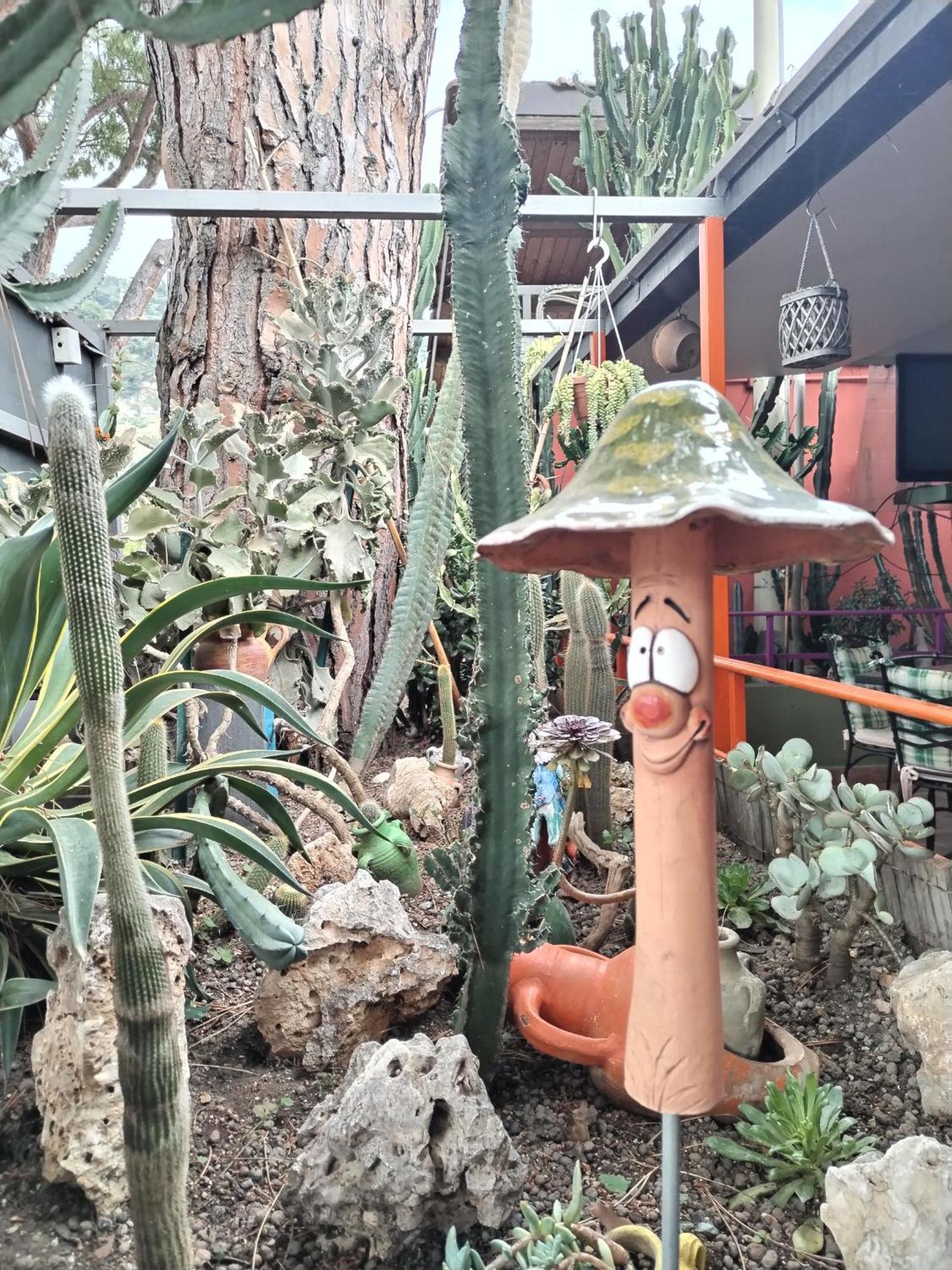 Camping Roma Ventimiglia Esterno foto