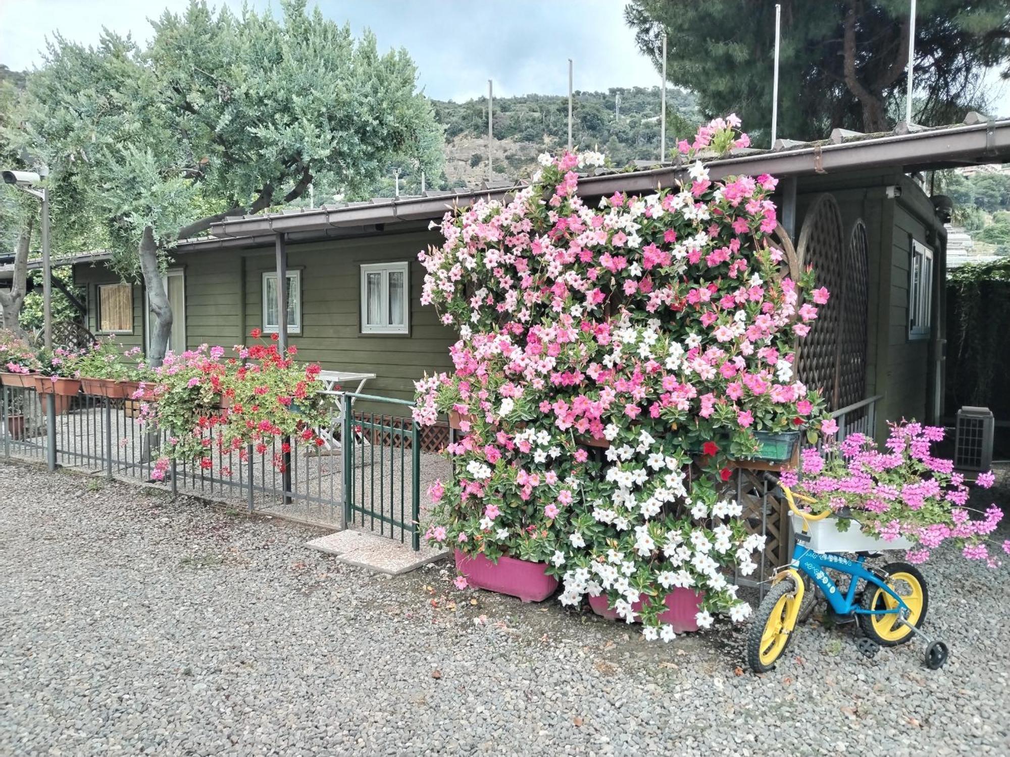 Camping Roma Ventimiglia Esterno foto