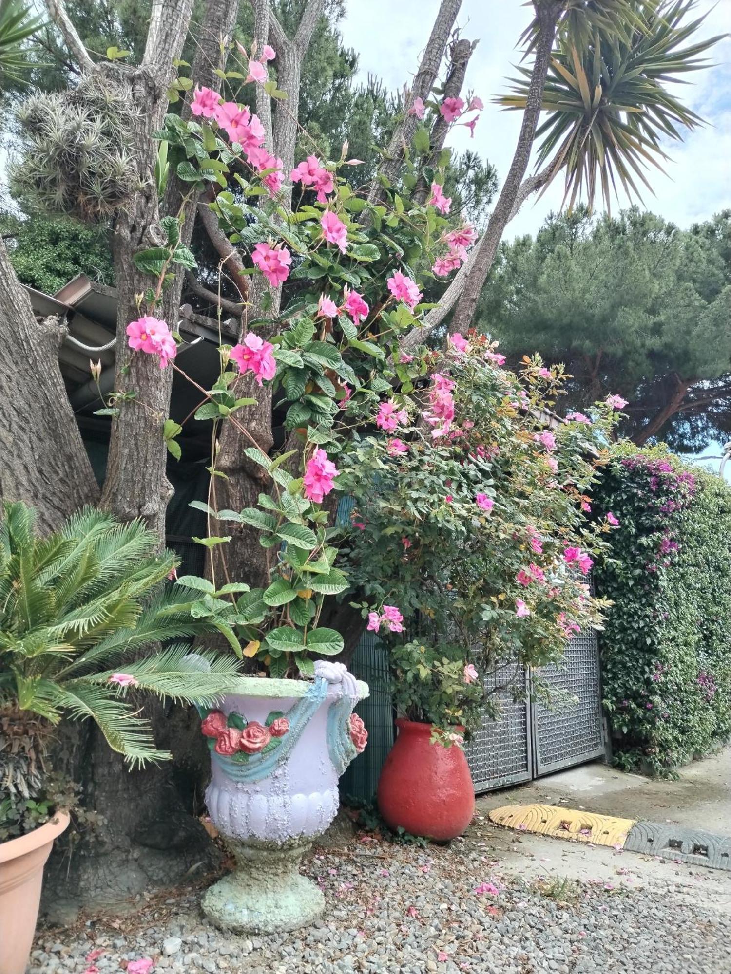 Camping Roma Ventimiglia Esterno foto