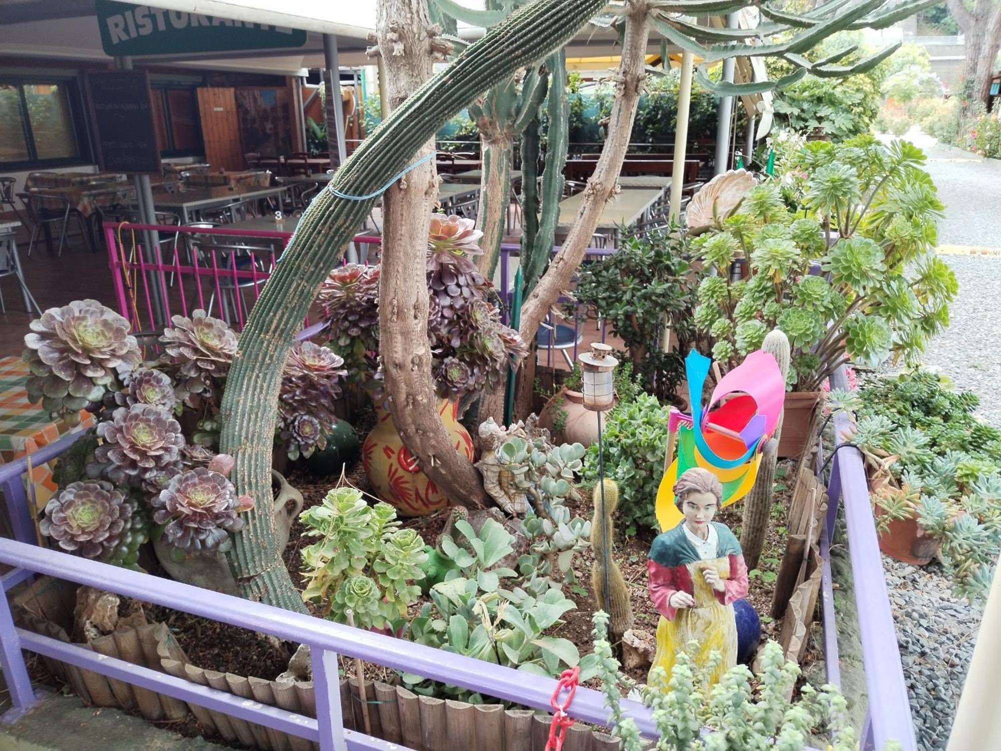 Camping Roma Ventimiglia Esterno foto